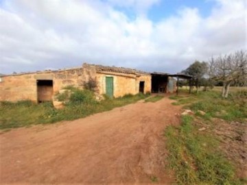 Casa o chalet 3 Habitaciones en Afores