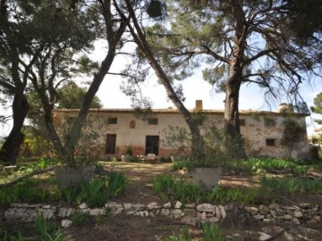 House 15 Bedrooms in Campo Arriba