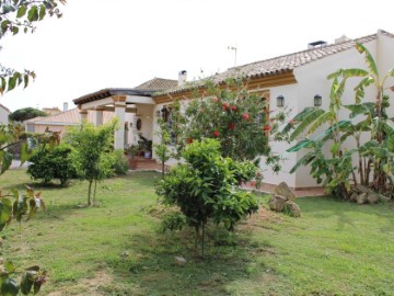 Casa o chalet 5 Habitaciones en Pinares de Lepe