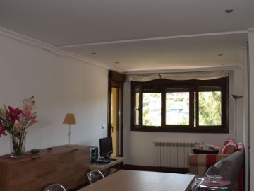 Apartment 1 Bedroom in Cangas de Onís