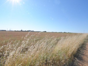 Moradia  em Calzada de Valdunciel