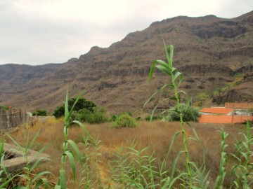 House  in Fataga