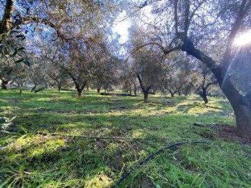 Moradia 5 Quartos em Encinarejo de Córdoba