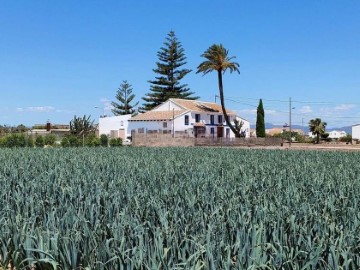 House 5 Bedrooms in Alboraya Centro