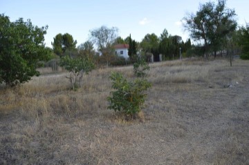 Terrenos en Villar de Cañas