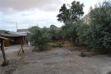 Terre à Torrubia del Campo