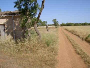 Casas rústicas  en Sa Rapita