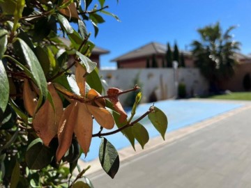 Casa o chalet 4 Habitaciones en Miramadrid
