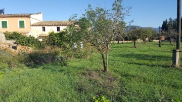 Quintas e casas rústicas 2 Quartos em Santa María del Camí