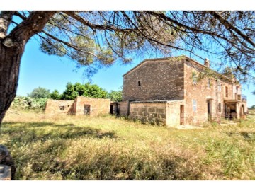 Country homes 1 Bedroom in Manacor