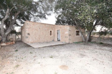 Country homes 2 Bedrooms in Son Negre