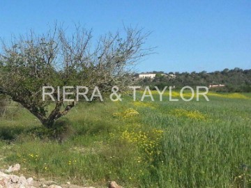 Country homes 4 Bedrooms in Porreres