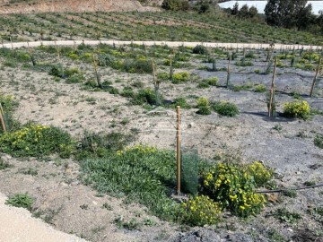 Maisons de campagne 1 Chambre à Motril pueblo