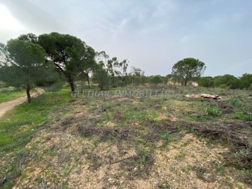 Casas rústicas 1 Habitacione en Valverde del Camino