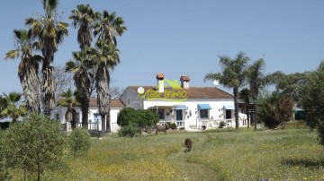 Quintas e casas rústicas 4 Quartos em Gibraleón
