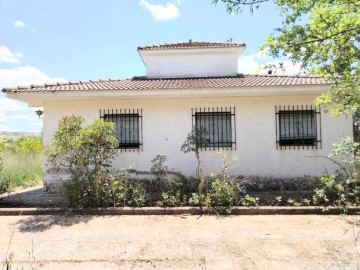 House 4 Bedrooms in Casalonga