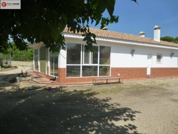 Casa o chalet 3 Habitaciones en El Pilar - Santa Ana