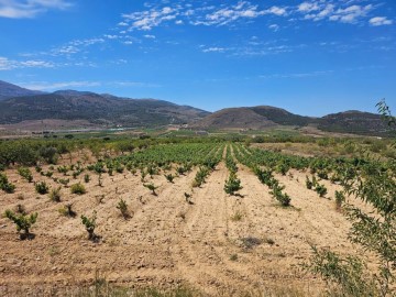 Casas rústicas  en Láujar de Andarax