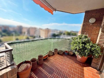 Apartment 4 Bedrooms in Bellavista