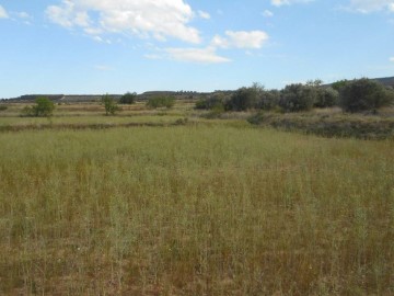 Quintas e casas rústicas  em Tarazona