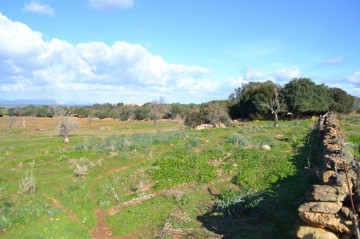 Casas rústicas  en Manacor