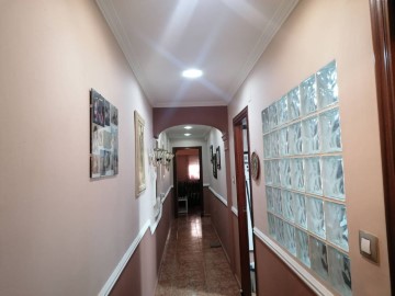 Appartement 4 Chambres à Nuevo Centro