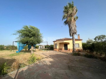 Casas rústicas 3 Habitaciones en Los Palacios y Villafranca