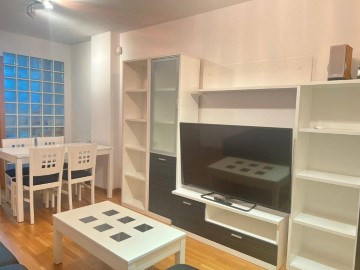 Apartment 1 Bedroom in Centro