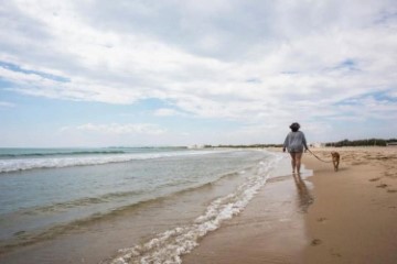 Quintas e casas rústicas 3 Quartos em Pinedo