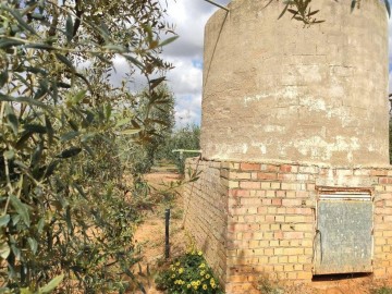 Casas rústicas  en Pilas