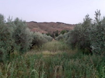 Maisons de campagne  à Seron y Menas