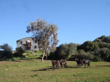 Casas rústicas 2 Habitaciones en Son Tomeo