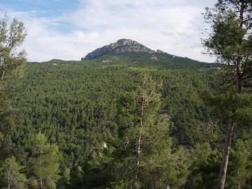 Casas rústicas  en San Bartolomé