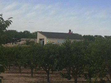 Maisons de campagne 1 Chambre à Benigánim