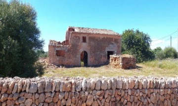 Maison 1 Chambre à Santanyí