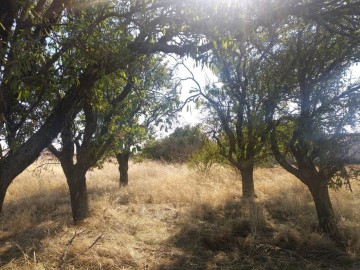 Quintas e casas rústicas 4 Quartos em Espino de la Orbada