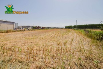 Casas rústicas  en Atarfe