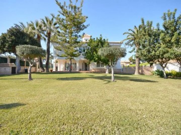 Casa o chalet 8 Habitaciones en Orihuela Ciudad