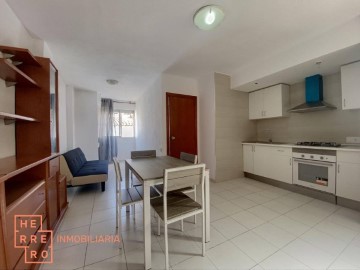 Apartment 1 Bedroom in Zona Centro