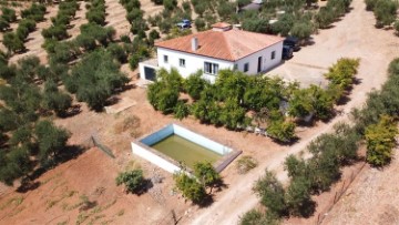 Casas rústicas 4 Habitaciones en Montellano