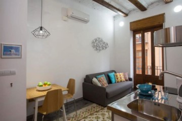 Apartment 1 Bedroom in Ciutat Vella