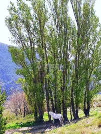 Casas rústicas 1 Habitacione en Alcutar