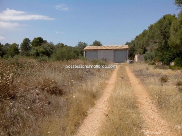 Casas rústicas 1 Habitacione en Algaida