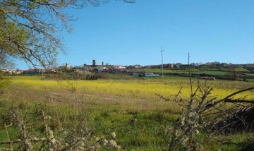 Terreno em Mogadouro, Valverde, Vale de Porco e Vilar de Rei