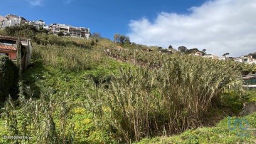 Terreno em Funchal (Santa Maria Maior)