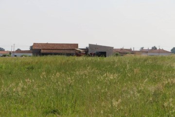 Terreno em Salvaterra de Magos e Foros de Salvaterra