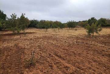 Terreno em Moncarapacho e Fuseta