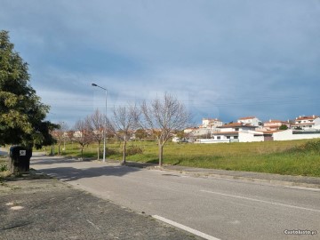 Terreno em Torres Novas (Santa Maria, Salvador e Santiago)