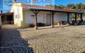 Quintas e casas rústicas em Escalos de Baixo e Mata