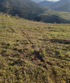 Terreno em Torre de Moncorvo